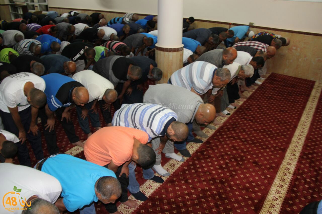 tarawe7 jamaki (3).jpg